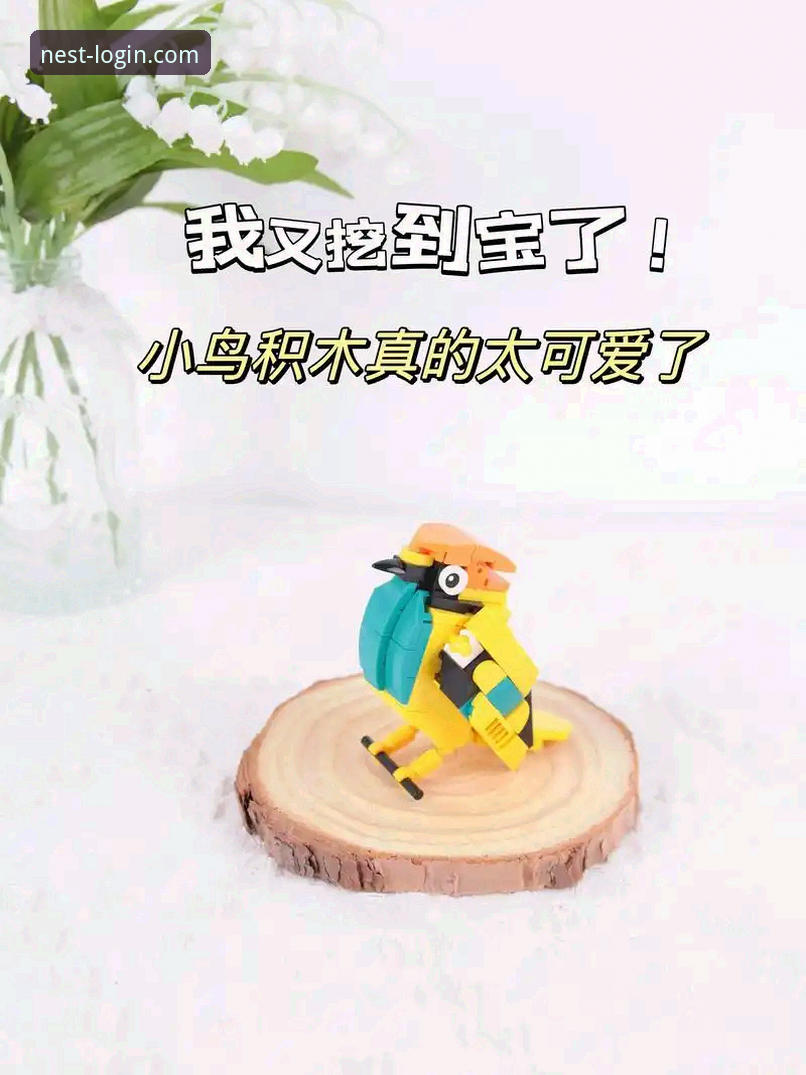 小鸟平台娱乐世界2026新版实用指南：从登录到畅玩的完整攻略